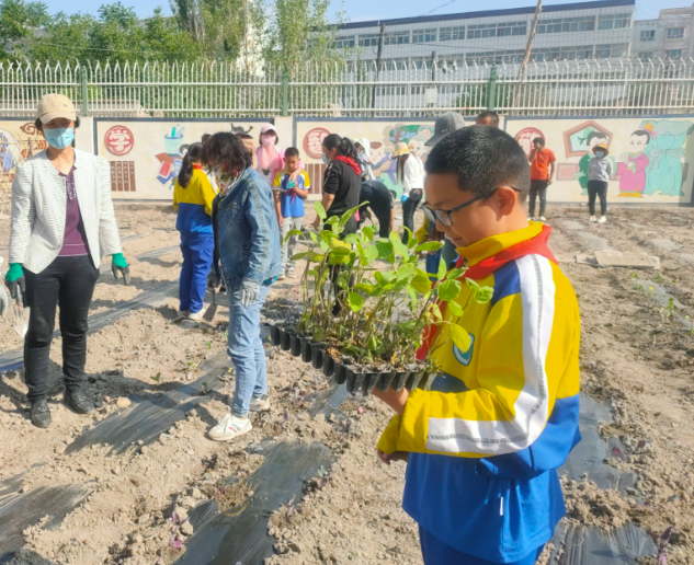 提質(zhì)賦能讓優(yōu)質(zhì)教育的陽光照亮每個(gè)孩子的生長之路 提質(zhì)賦能讓優(yōu)質(zhì)教育的陽光照亮每個(gè)孩子的生長之路