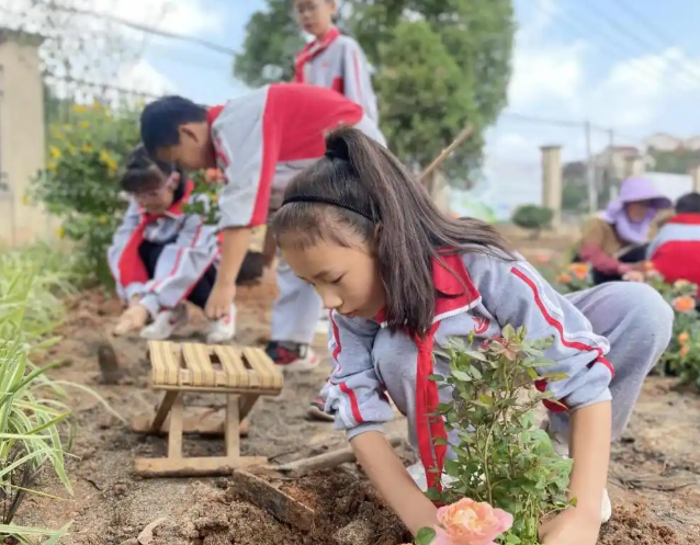研發學科美育典型講堂范式破解怎么教在師資與教研維度